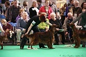 Crufts2011 790